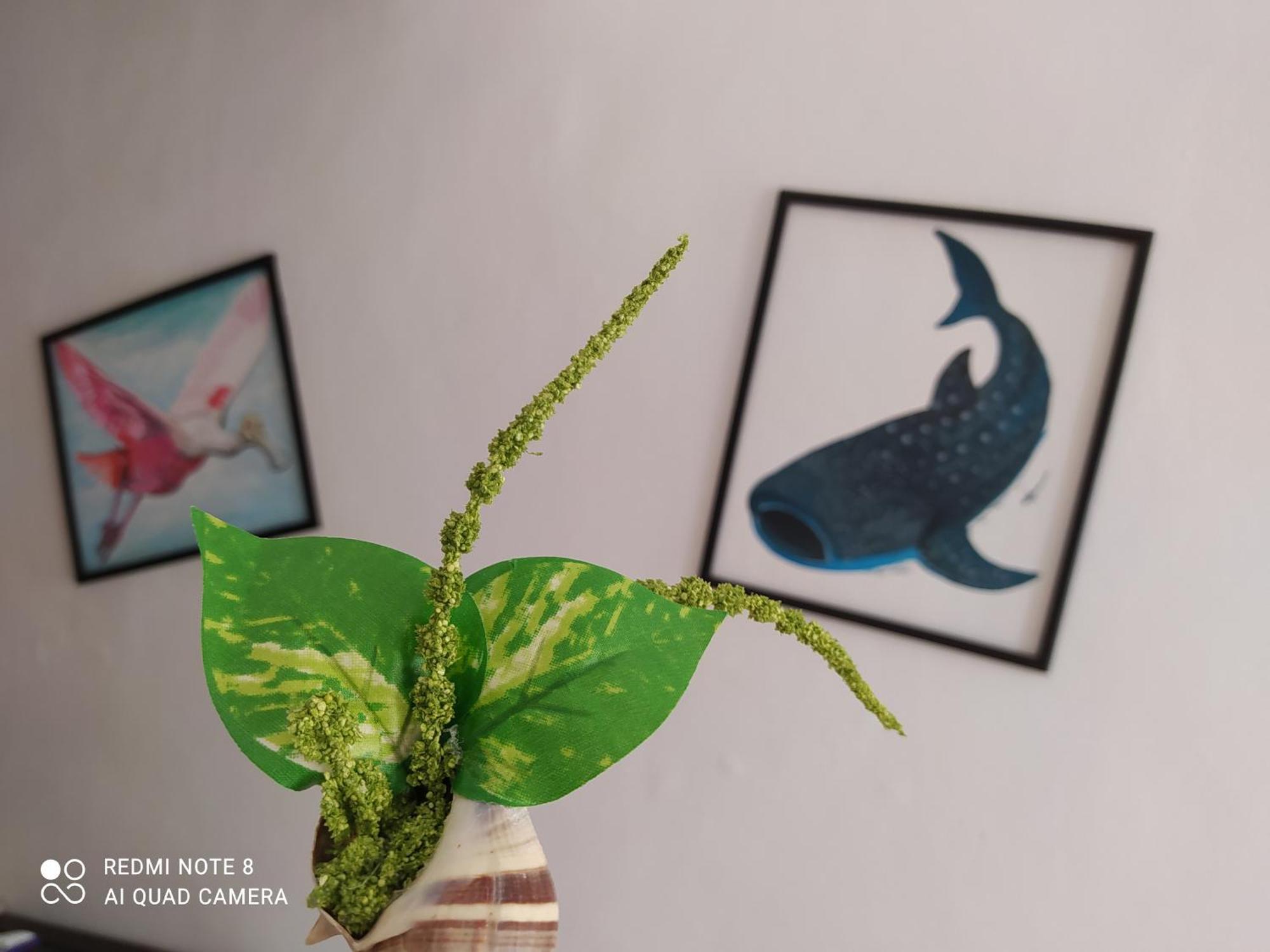 Casa Ohana-Disfruta del paraiso Isla Holbox Exterior foto