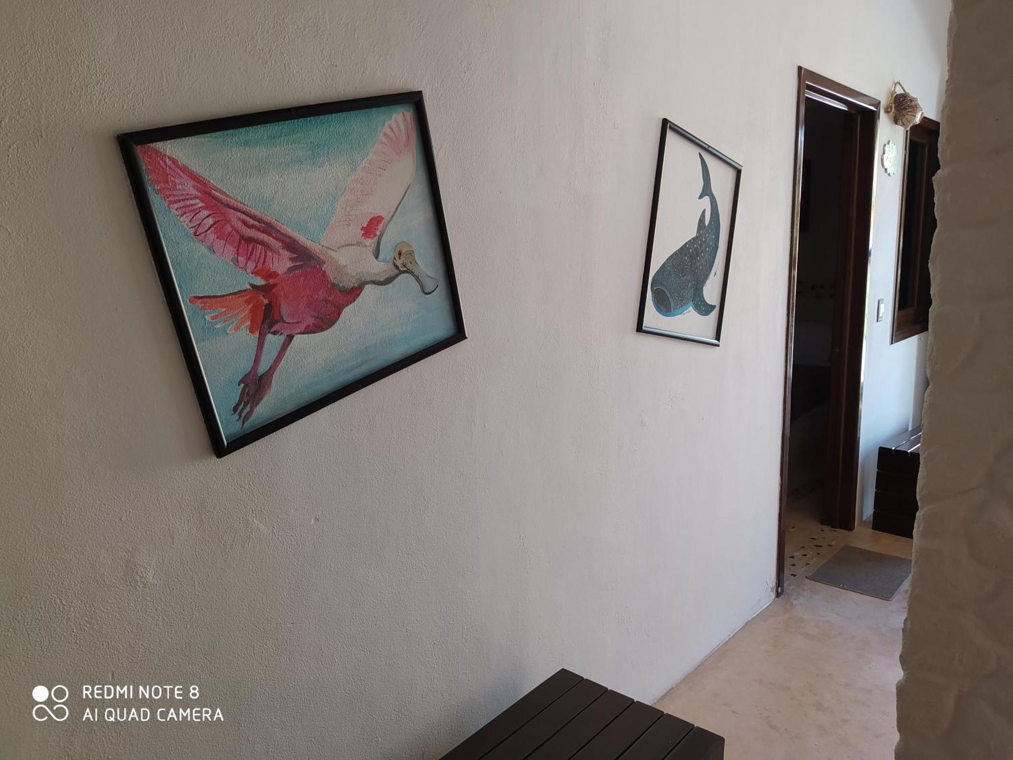 Casa Ohana-Disfruta del paraiso Isla Holbox Habitación foto